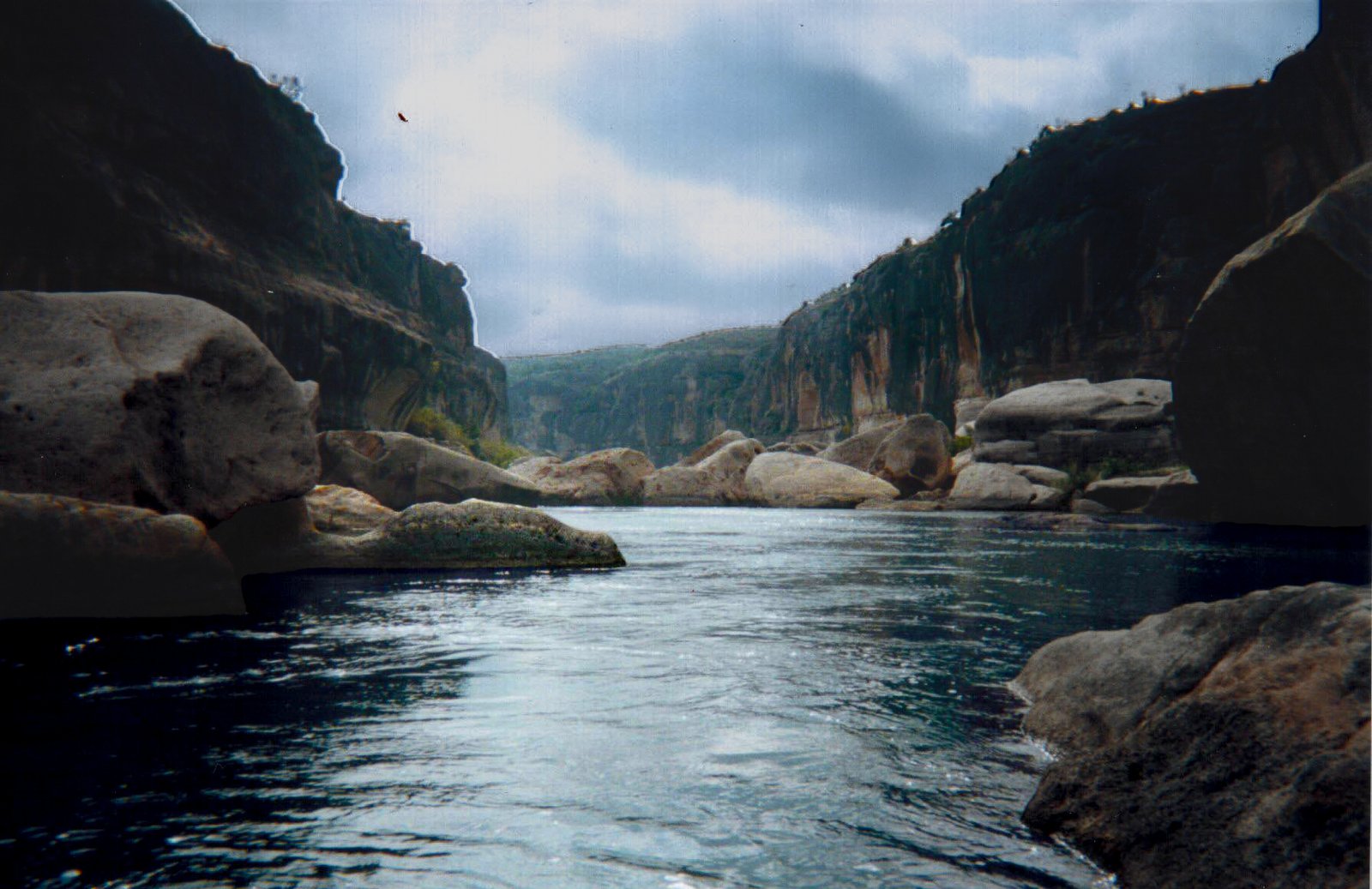 Photo Eight